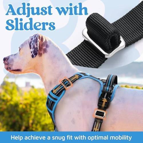 rabbitgoo Dog Harness Medium Sized, No Pull 3 Buckles Easy On & Off - Image 5