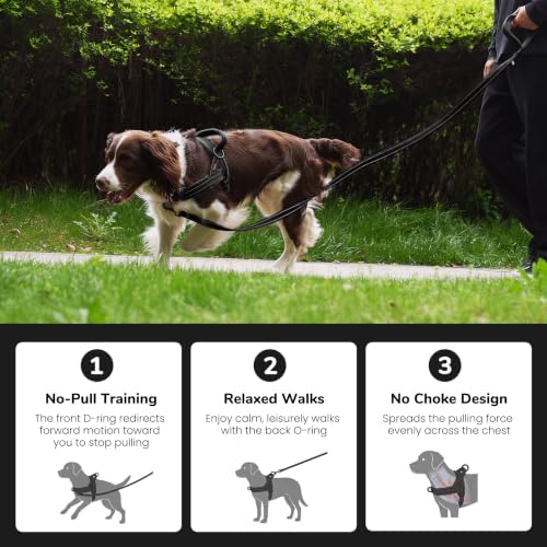 Didog No Pull Dog Harness for Small Dogs, Soft Flannel Padded - Image 4
