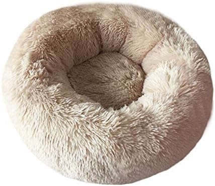 Cat Bed for Indoor Cats, Mini Plush Self Warming Kitten Bed, 20 Inch by BODISEINT