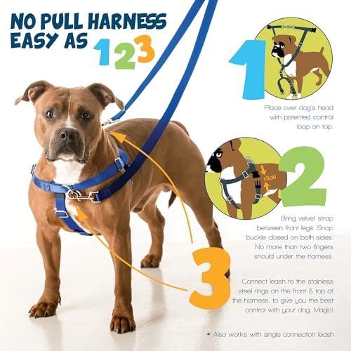 2 Hounds Design Freedom No Pull Dog Harness, 1 inch XL - Image 3