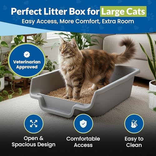 KittyGoHere Senior Cat Litter Box, Litter Pan, Jumbo 2 Pack - Image 2