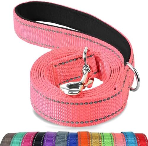 Joytale Reflective Dog Leash for Medium & Large Dogs, 6 FT x 1", Neon Pink by Joytale