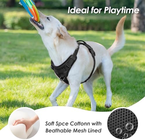 Sunraymascota No Pull Dog Harness - Image 3