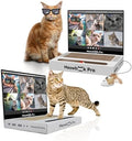 2PCS Cat Scratcher Laptop with 'Mouse' Jingle Ball, 3-in-1 Cardboard Cat by AIWEILUCK