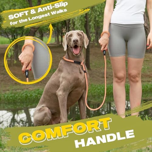 Fida Durable Slip Lead Dog Leash, 4 FT x 1/2" Dog Training Leash - Image 6