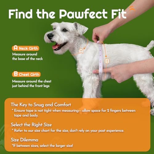 Eagloo Small Dog Harness and Leash Set, Step in Medium Small Puppy Pet Vest - Image 2