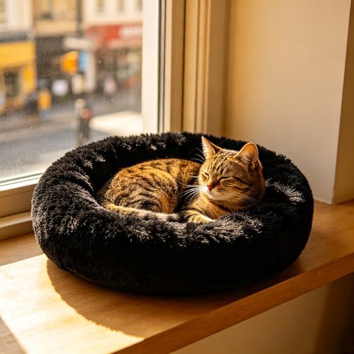 Cat Beds for Indoor Cats - Image 6
