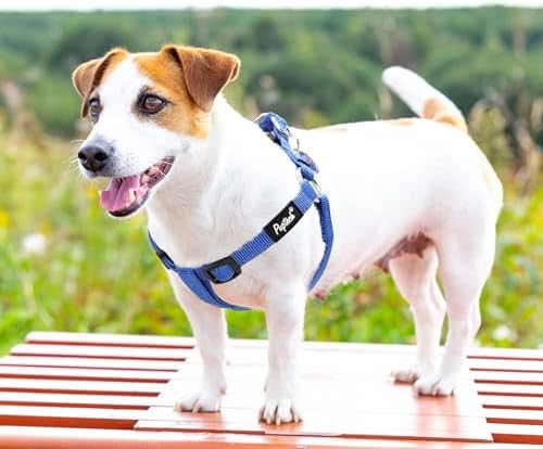 PUPTECK No Pull Dog Harness Small Sized Step-in Adjustable Puppy Vest - Image 6