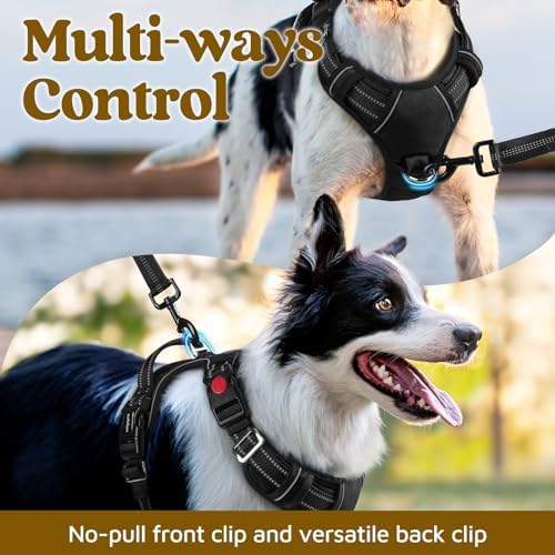 rabbitgoo Dog Harness Medium Sized, No Pull 3 Buckles Easy On & Off - Image 3