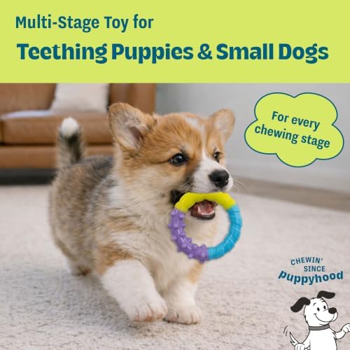Grow-With-Me Ring Dental Dog Chew Toy, Bounces & Floats - Image 4