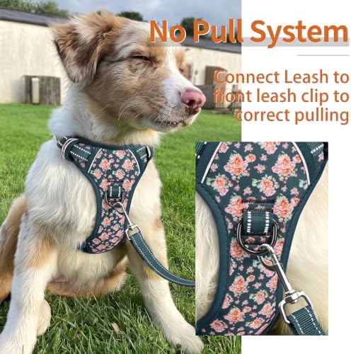 HEELE Dog Harness, Reflective, No Pull No Choke, Flower Blackish Green - Image 5