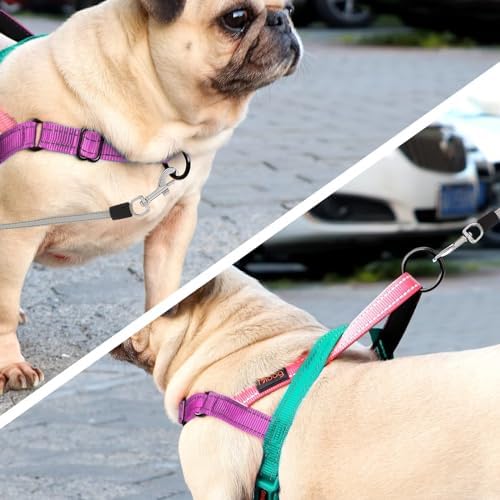 Didog No Pull Dog Harness for Large Dogs, Soft Padded Handle, Dark Green - Image 3