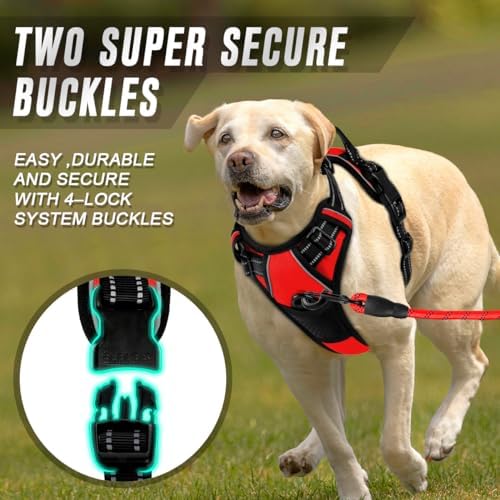 BARKBAY Dog Harness No Pull for Small Sized Dog Front Back Clips, Dog Vest - Image 4