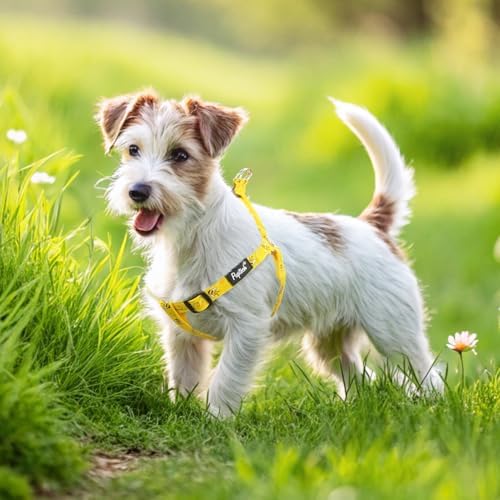 PUPTECK No Pull Dog Harness Medium Sized Step-in Adjustable Puppy Vest - Image 6
