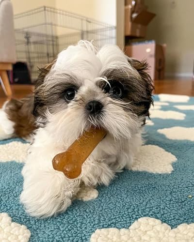 Nylabone Puppy Chew Teething Bone Dog Chew Toy, Chicken Flavor - Image 6