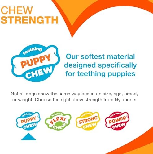 Nylabone Puppy Chew Teething Bone Dog Chew Toy, Chicken Flavor - Image 4