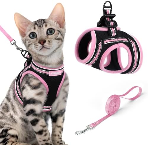 rabbitgoo Cat Harness and Leash Set, Step-in Soft Vest by rabbitgoo