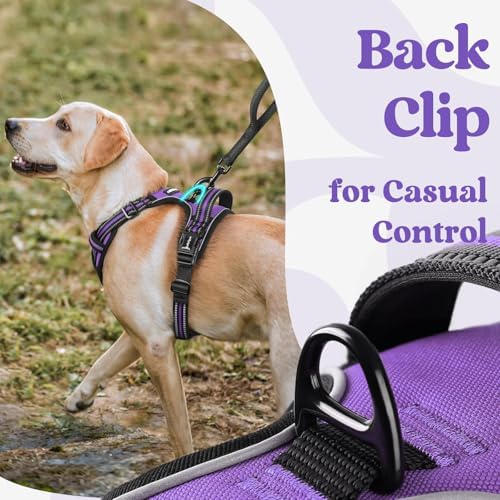 rabbitgoo Dog Harness Medium Sized, Updated Easy On & Off - Image 6