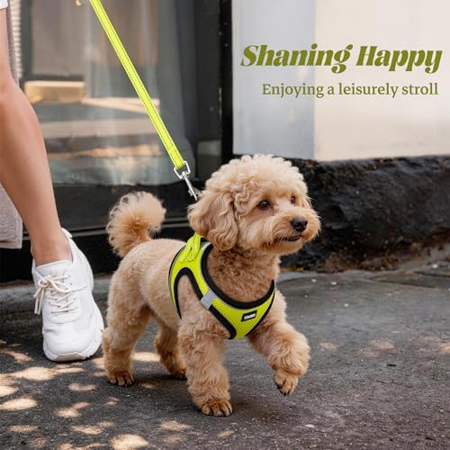 No Pull Dog Puppy Harness and Leash Set Reflective Mesh Vest Large - Image 6