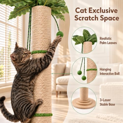 63in Tall Cat Scratching Post for Indoor Cats Large Adult - Image 6