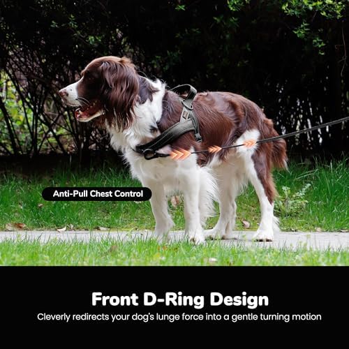 Didog No Pull Dog Harness for Medium Dogs, Breathable Mesh Padded - Image 5