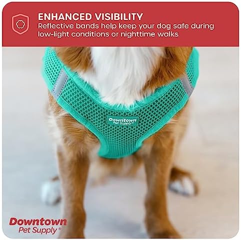Downtown Pet Supply Step in Dog Harness - Image 7