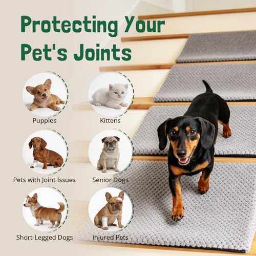 Dog Ramp for Stairs with Non-Slip Bump for Small & Senior Dogs Cats 2 Pack - Image 3