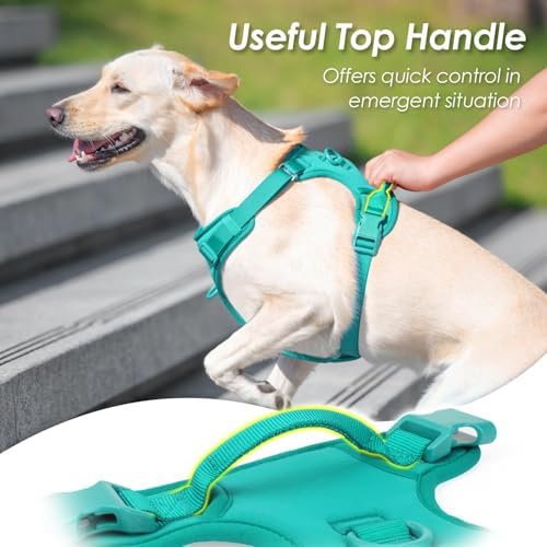 Sunraymascota No Pull Dog Harness - Image 5
