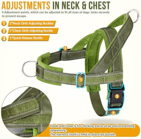 SlowTon No Pull Dog Harness and Leash Set - Image 5