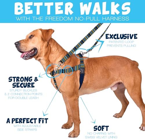 2 Hounds Design - Image 2