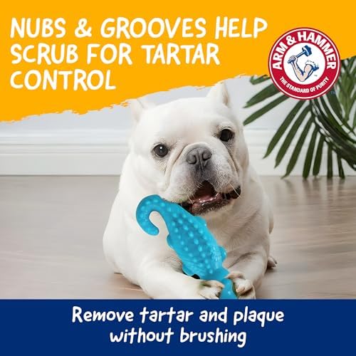 Arm & Hammer Nubbies Gator Dog Dental Chew Toy, Mint Flavor - Image 3