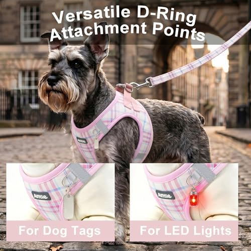 AIITLE Step in Dog Harness and Leash Set Plaid Adjustable - Image 4