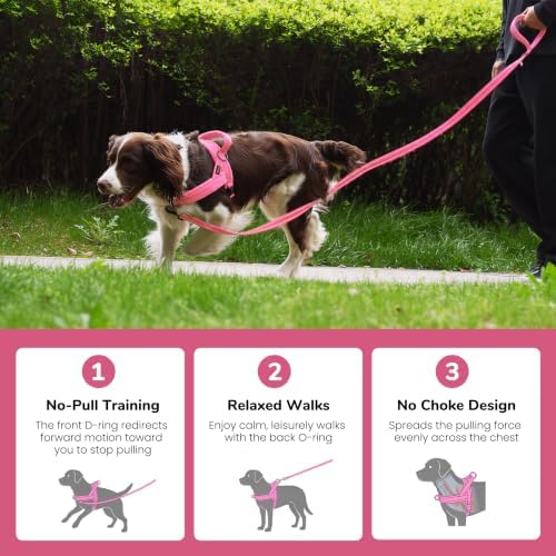 Didog No Pull Dog Harness for Small Dogs, Soft Flannel Padded - Image 4