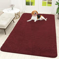 OLANLY Dog Door Mat for Muddy Paws 70x46, Super Absorbent Chenille Mud Mat by OLANLY