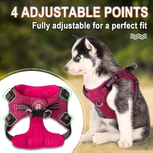 BARKBAY Small Dog Harness, No Pull Puppy Harness, Step-in Dog Vest - Image 3