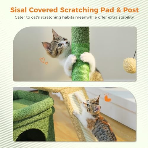 PEQULTI Small Cat Tree Tower for Indoor Cats - Image 4