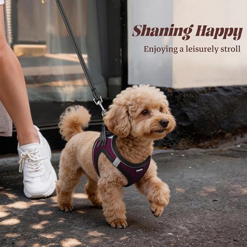 No Pull Dog Puppy Harness and Leash Set Reflective Mesh Vest X-Small - Image 6