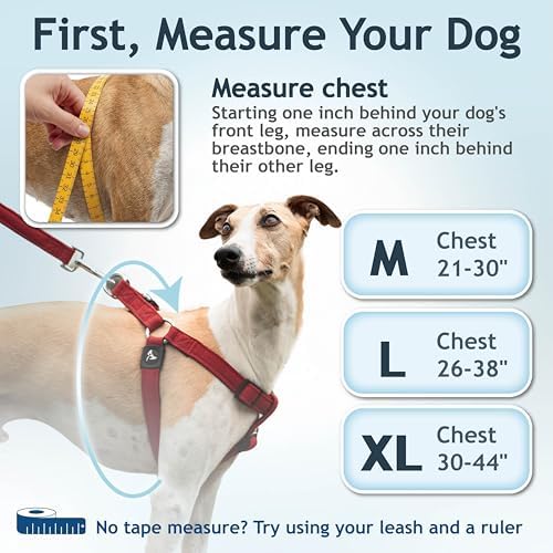 Kruz No Pull Dog Harness Heavy-Duty Pet Harness - Image 3