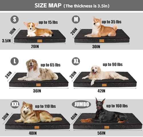 Patas Lague Orthopedic Large Dog Bed Washable Pet Sofa Mat 36''X24'' Black - Image 5