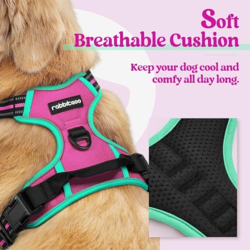 rabbitgoo Dog Harness, No Pull for Large Dogs - Image 2