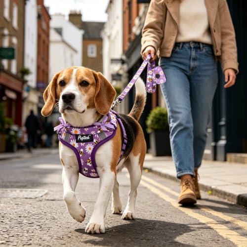 PUPTECK Dog Harness and Leash Set Small Sized, Step in No Pull Adjustable Puppy - Image 6