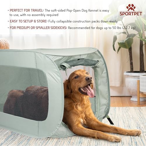 SportPet Designs Soft Sided Pop-Open Kennels, Light Green - Image 2