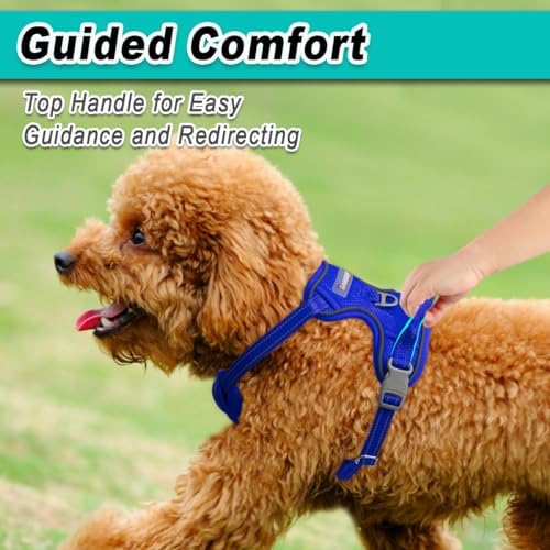 BARKBAY Dog Harness for Small Sized Dog No Pull Mesh 2 Clips Dog Vest - Image 4