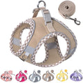 Petank Step in Dog Harness No Pull and Leash by PetankCareforEveryPaw