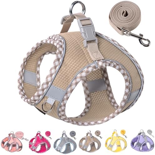 Petank Step in Dog Harness No Pull and Leash by PetankCareforEveryPaw