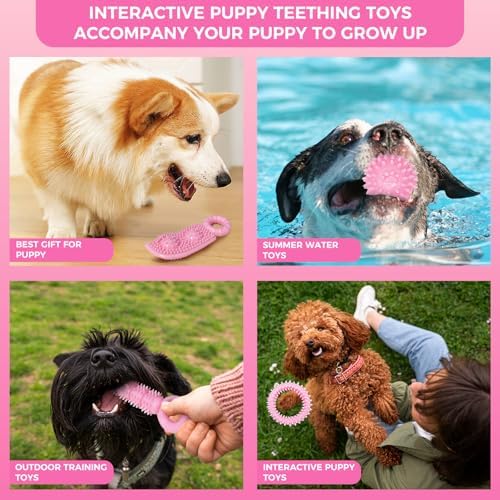 Puppy Toys, 9 Pack Dog Chew Toys, Teething Toys - Image 6