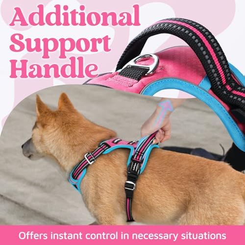 rabbitgoo Dog Harness Small Sized, No Pull 3 Buckles Easy On & Off - Image 4