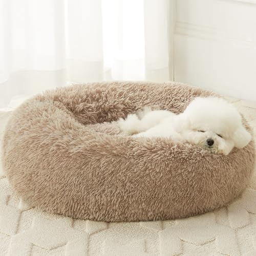 WNPETHOME Small Round Calming Dog Bed Cat Bed by WNPETHOMEPETSHOME