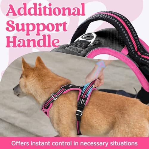 rabbitgoo Dog Harness for Large, No Pull 3 Buckles Easy On & Off - Image 4