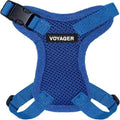 Voyager Step-in Lock Cat Harness & Leash Set by BestPetSuppliesLLC